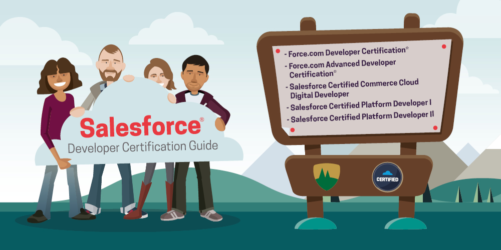 Salesforce Platform Developer 1 & 2 Certification training guide | Mason  Frank